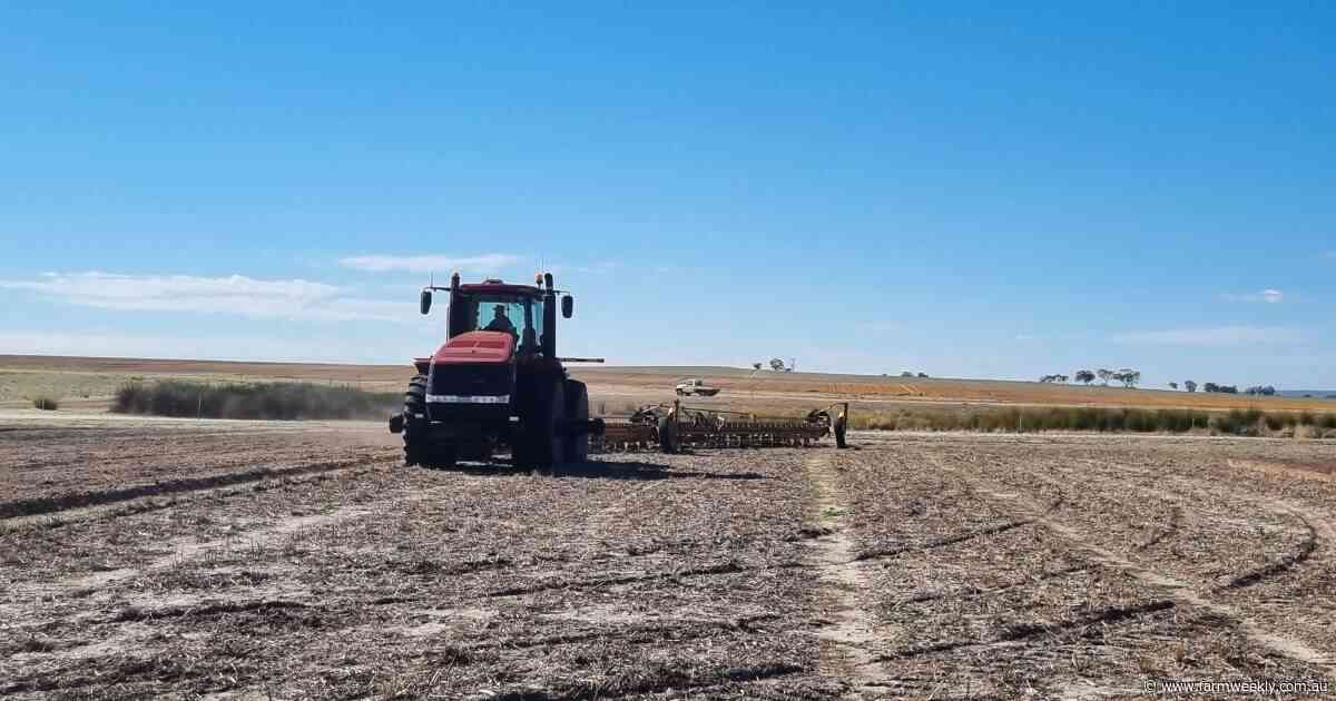 'It took a little convincing': how this Plozza Plow paid off in a big way