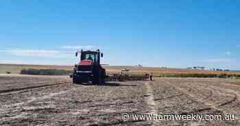 'It took a little convincing': how this Plozza Plow paid off in a big way