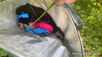 Spaziergänger findet tote Katze in Plastiktüte im Bach