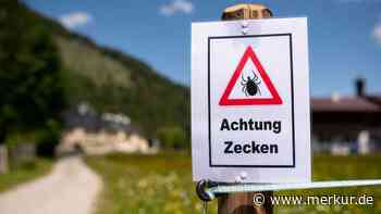 Zecken katapultieren sich regelrecht auf Sie, wenn Sie das tragen – Forscher finden Ursache