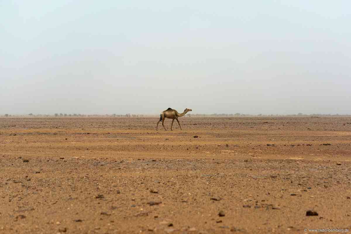 49 Menschen verdursten nach Lkw-Panne im Niger