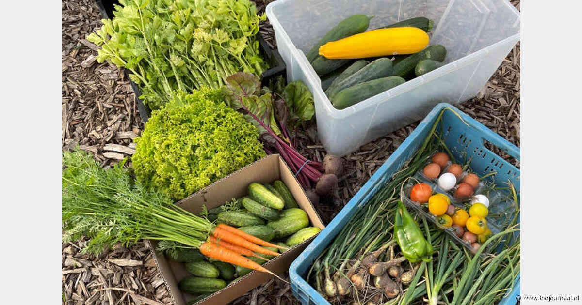 Onzekerheid over voortbestaan biologische zelfoogsttuin Martinushoeve