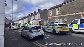 Large police presence at Cardiff street and woman arrested