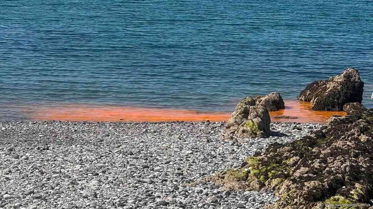 Sea turns orange at North Wales beach as statement issued