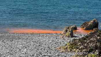Sea turns orange at North Wales beach as statement issued