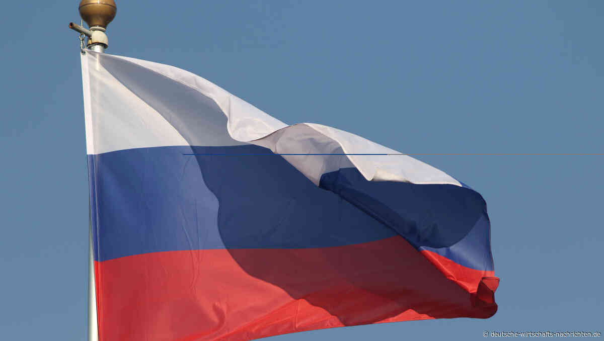 Kiew fordert Friedensgespräche – Putin nennt angebliche Nato-Pläne „Unsinn“