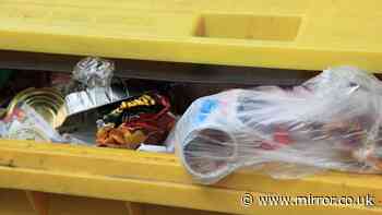 Binman settles debate over crisp and chocolate packets