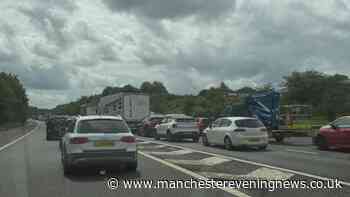M61 traffic RECAP as vehicles stopped due to animals on road near Bolton