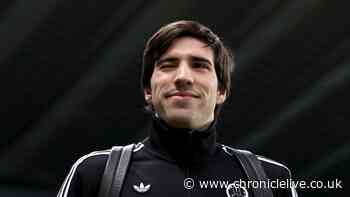 Sandro Tonali fears grow after £250m Arsenal revelation as 6ft 2in centre-back linked