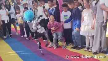 Out-of-control robot karate kicks a child in the stomach while performing martial arts