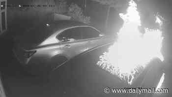 Moment arsonists pour petrol over car at family home of left-wing politician and then set it ablaze - as police probe 'targeted attack'