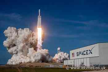 Anyone With $2,000 Can Buy Into Spacex's IPO — Critics Compare It To 'Selling Suicide Pills at the Drugstore'