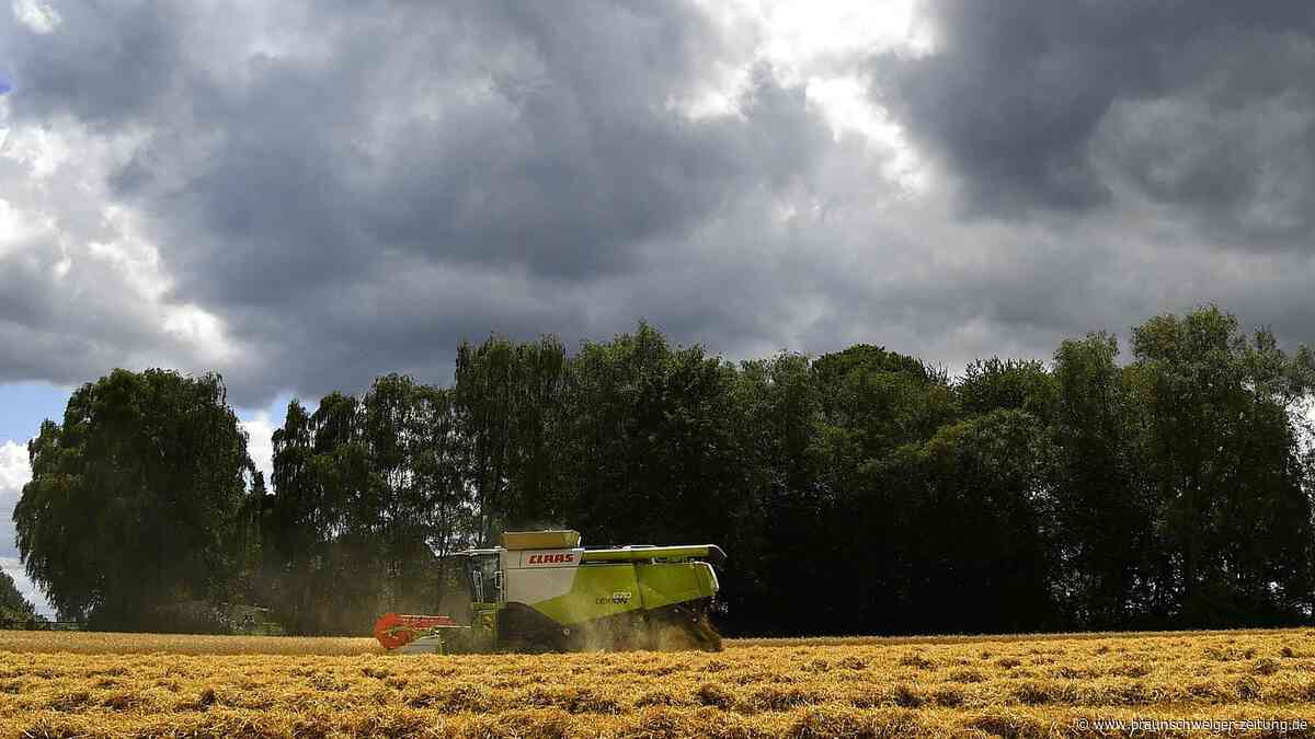 Leere Lager, volle Aktenordner: Was Salzgitteraner Bauern umtreibt
