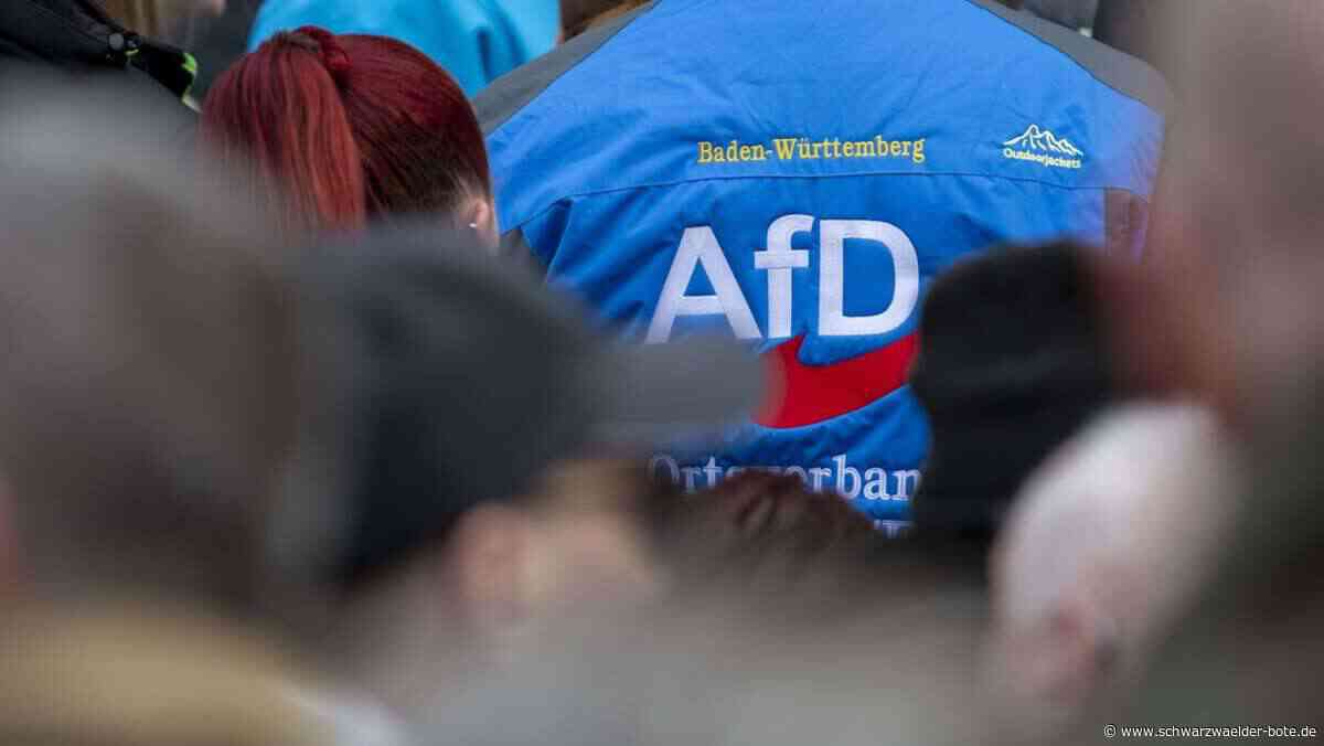 Ludwigsburger Erbschaft: Anonyme Mails und Streit um Antrag vor AfD-Parteitag