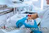 Lower Levels of Vitamin B12 and Folate May Be Tied to Fatigue in Men and Low Motivation in Women