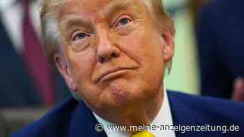 Nach Absagen: Trump streicht Konzerte bei US-Jubiläumsfeier
