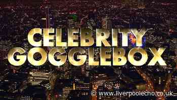 Celebrity Gogglebox returns to Channel 4 tonight with new famous faces