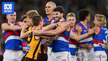 Live: Dogs fight back for thrilling victory after tempestuous clash with Hawks