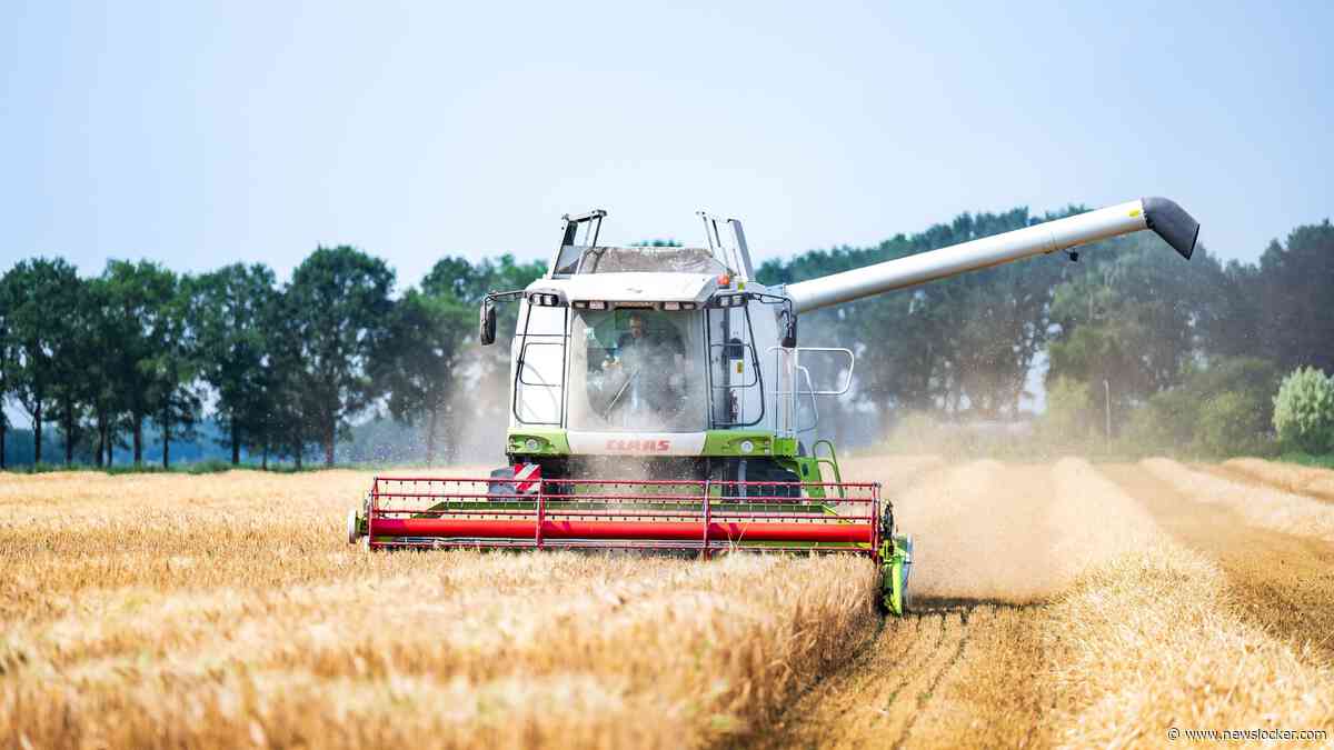 Nederlandse boeren ontvangen minder geld voor hun producten
