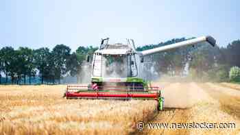 Nederlandse boeren ontvangen minder geld voor hun producten