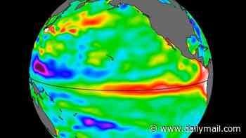 Super El Niño is inching closer: A swell of warm water HUNDREDS of miles wide has arrived in the Pacific Ocean, NASA reveals - hinting the rare climate event is imminent