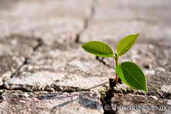Building What Holds: Why Resilience Must Be Designed