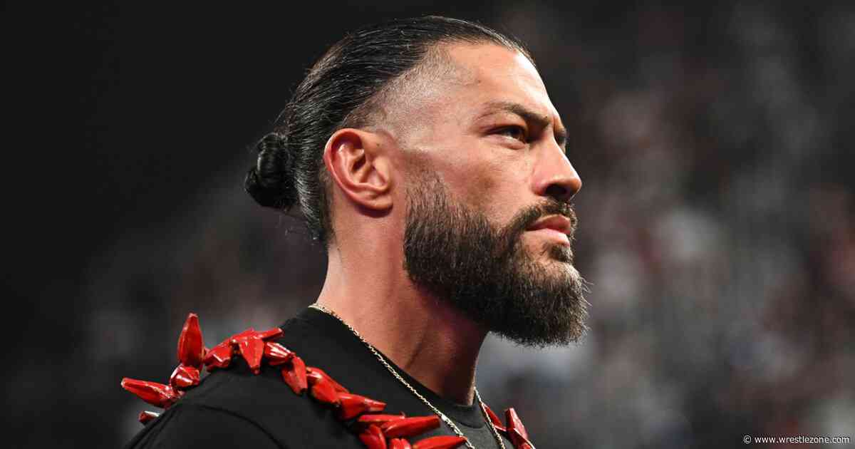 Roman Reigns Called An ‘Idiot’ Over Bold WWE World Title Claim