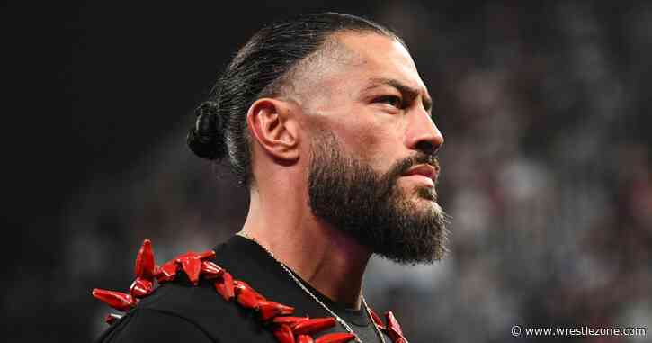 Roman Reigns Called An ‘Idiot’ Over Bold WWE World Title Claim