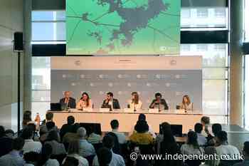 Visa problems shut poorest countries out of crucial UN climate talks in Bonn