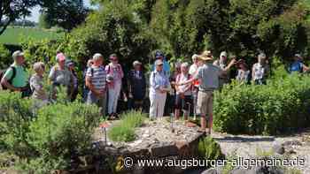 Garten und Kultur
