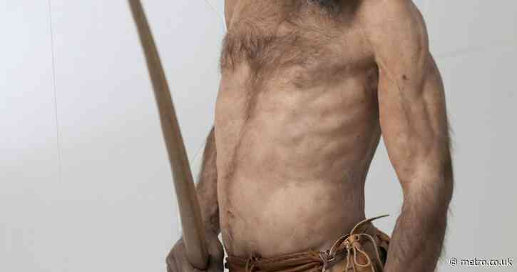 Yeast found in iceman’s 5,000-year-old gut has been used to make sourdough