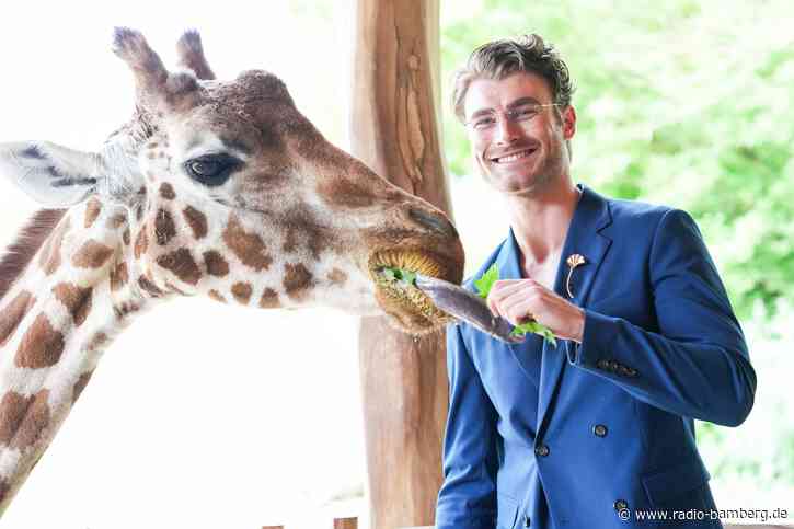 Begegnung auf Augenhöhe: Model Linus trifft Giraffe Linus
