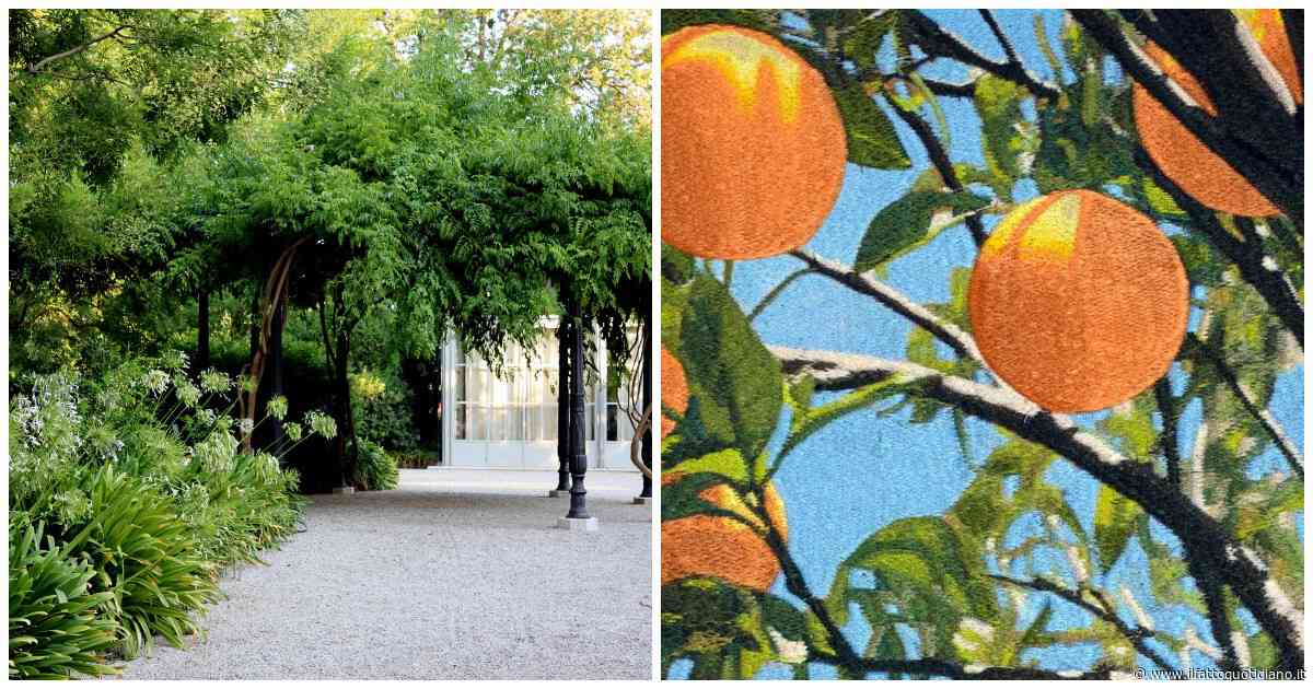 L’arte nascosta nei giardini segreti di Venezia: da Flora Fantastica al Redentore, il filo verde della Biennale 2026