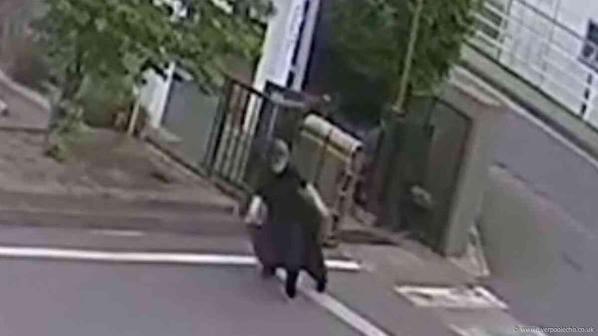 Bear on loose escapes police by jumping through windows and turning on taps on the way