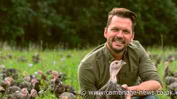 TV farmer owns the UK's best attraction an hour from Cambridge – not Clarkson's Farm