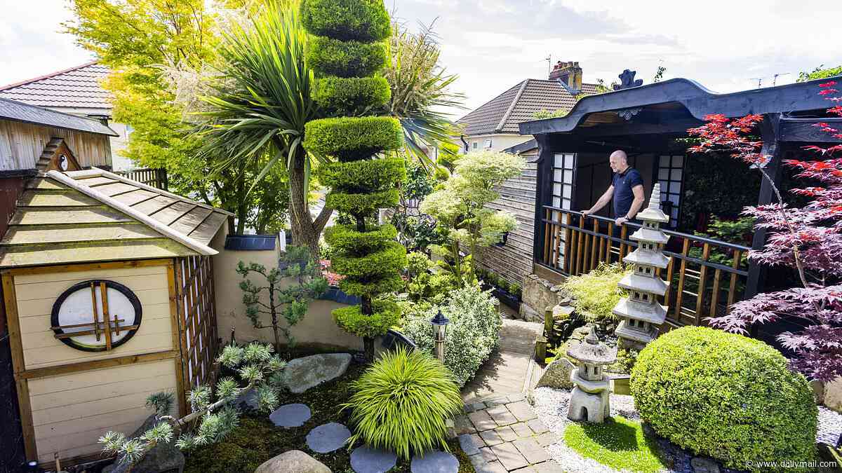 Turning Japanese! Man spends £20,000 transforming his back yard into stunning Oriental garden complete with water dragon, monk's Zen space and perfect bonsai trees