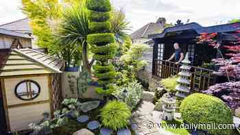 Turning Japanese! Man spends £20,000 transforming his back yard into stunning Oriental garden complete with water dragon, monk's Zen space and perfect bonsai trees