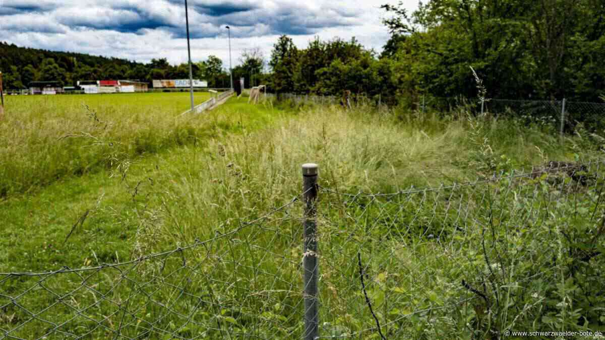 Hermann-Hesse-Bahn: Züge rollen, Zäune fehlen – das steckt dahinter