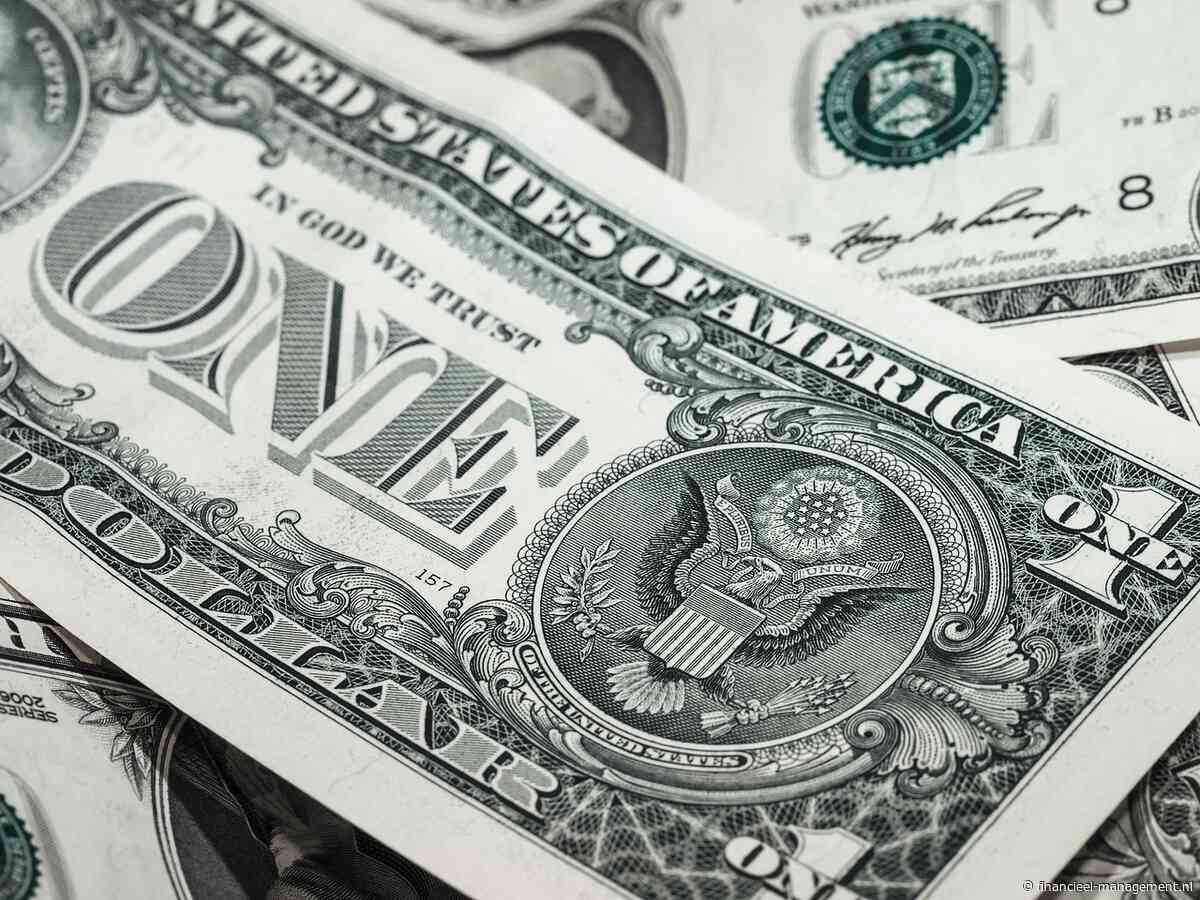 Eindelijk bewijs: de doller verliest terrein als wereldmunt maar blijft sterk