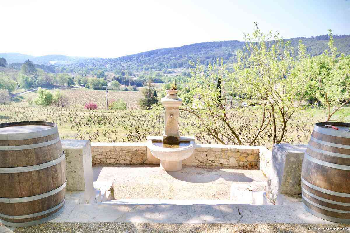 Artistes, vignerons et œnotourisme : Art et Vin revient pour une 28e édition dans une cinquantaine de domaines de la région Paca
