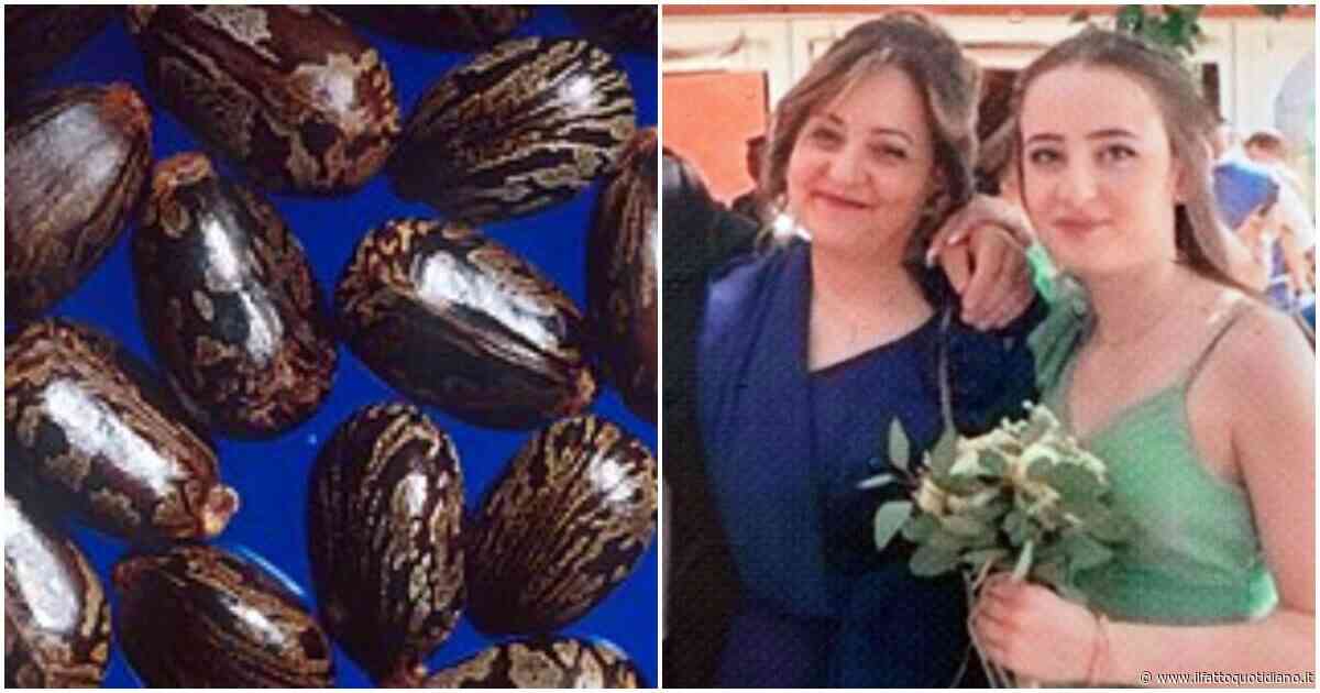 Madre e figlia avvelenate – Dal ritrovamento della pianta di ricino in un campo ai 160 verbali raccolti: gli investigatori tornano nella casa di Pietracatella