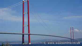 World's longest suspension bridge cost £2billion to build but title is threatened