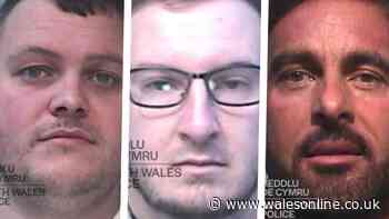 The DVLA insider, dodgy Swansea car dealers and the million pound scam that made them all rich