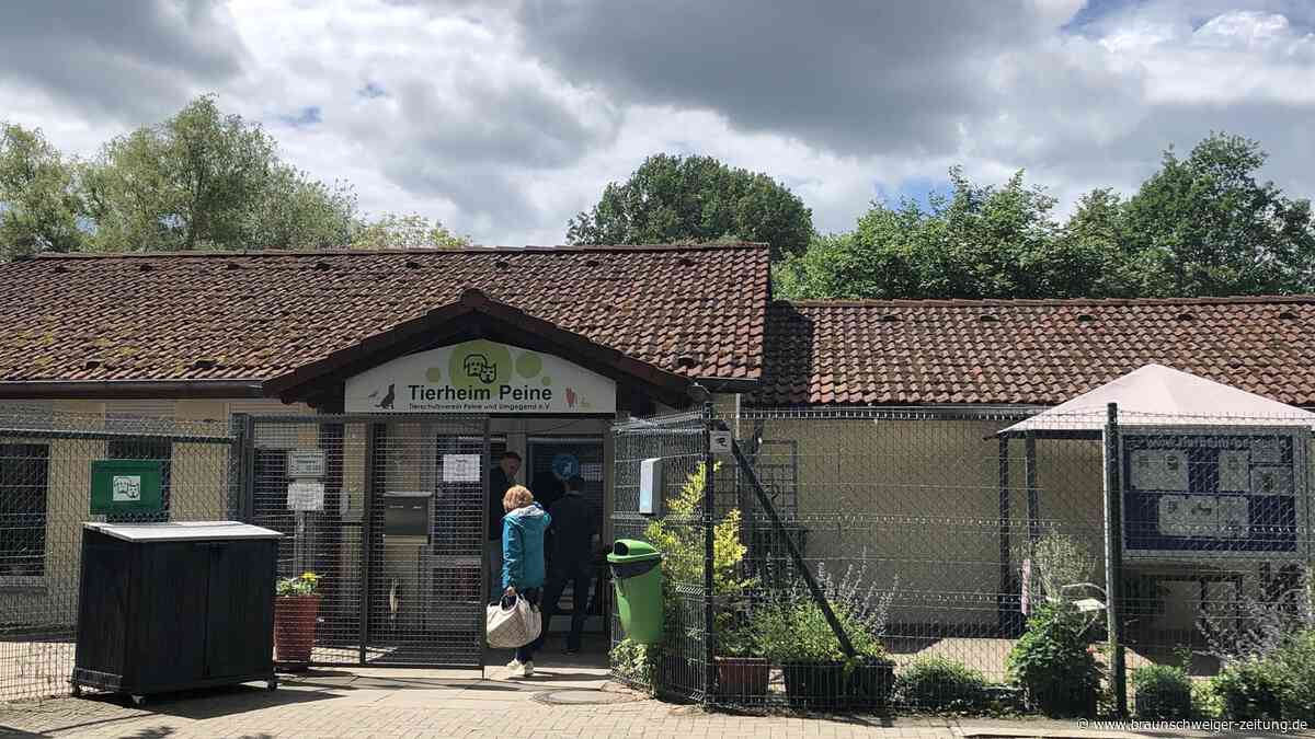 Tierschutzverein Peine zieht wegen finanzieller Sorgen eine Reißleine