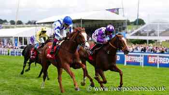Epsom Derby Festival 2026: Seagulls Eleven wins the Diomed Stakes