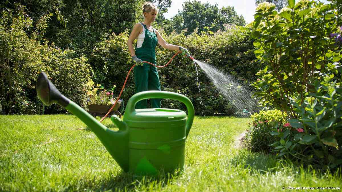 Grundwasser verunreinigt: In Senden ist die Schadstoffbelastung 27-fach zu hoch