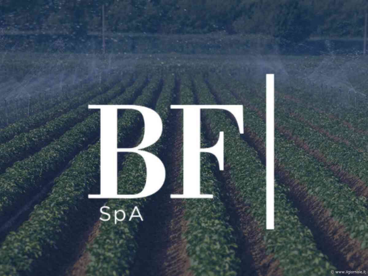 BF Spa, approvato il bilancio e la distribuzione di un dividendo