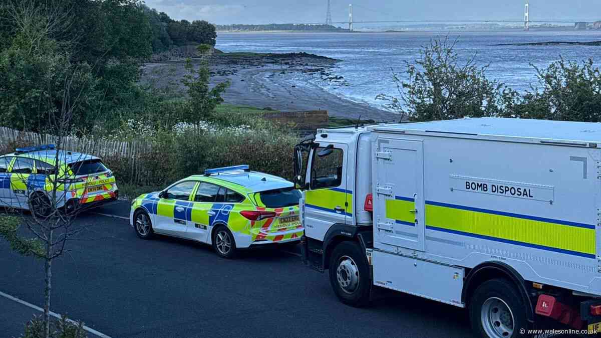 Bomb disposal team called to residential street