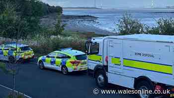 Bomb disposal team called to residential street