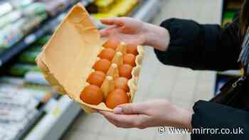RSPCA issues alert to all supermarket shoppers buying eggs